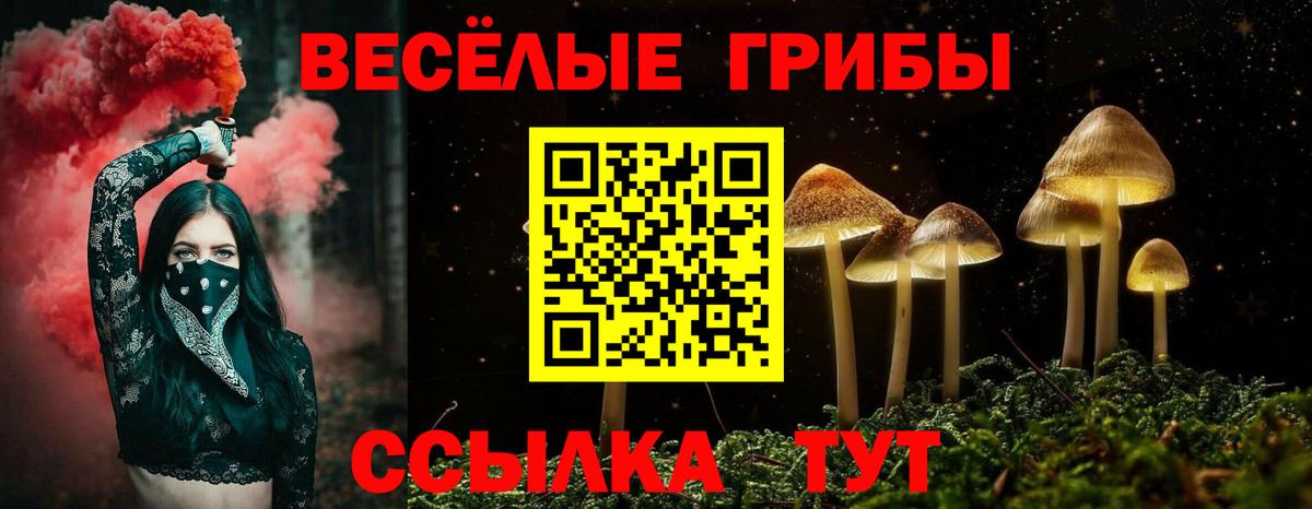 Псилоцибиновые грибы GOLDEN TEACHER Южно-Сахалинск