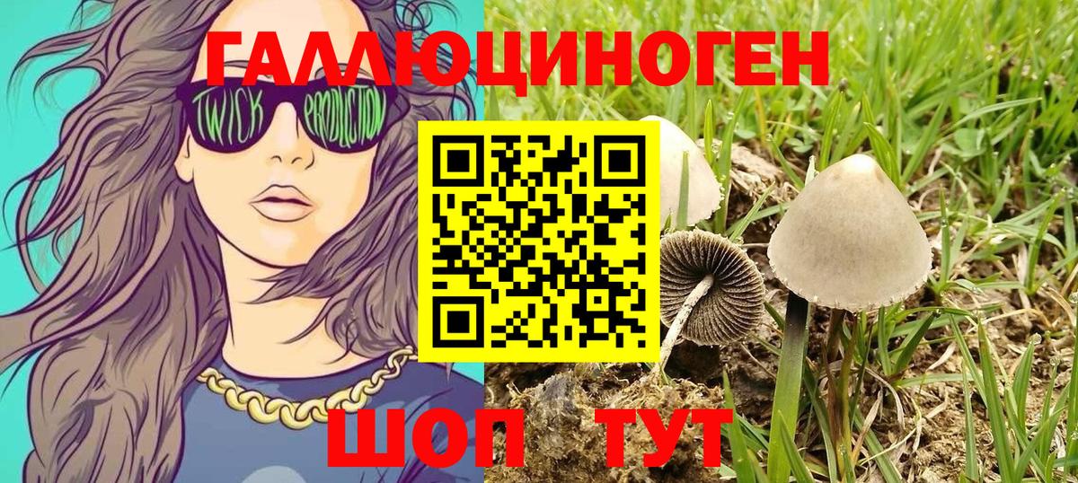 Южно-Сахалинск  Галлюциногенные грибы мухоморы  Вход с VPN 
